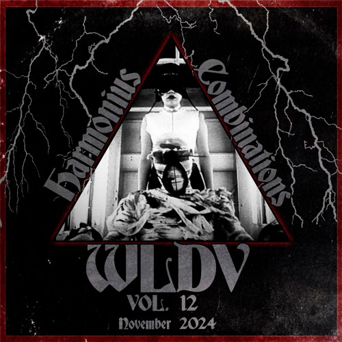 WLDV - Harmonious Combinations Vol.12 - Nov 2024