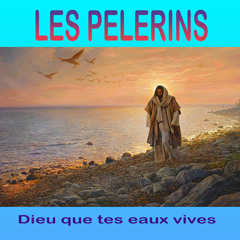 Seigneur Jésus, entre tes mains