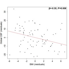 Cerebral Blood Flow and Arterial Transit in Older Adults