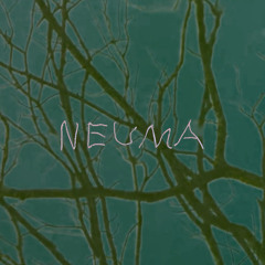 Zack @ Neuma 15.11.25