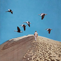 Slap Yee Down (Prod. Linkey)