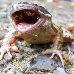 Liquid Visions (Instrumental)