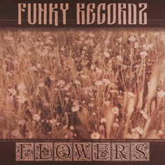Funky RecordZ - Flowers (SNIPPET MIX)