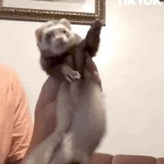 bomba