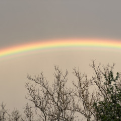 have you ever seen the rain