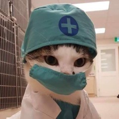 DOCTOR GOOFY (FREESTYLE)