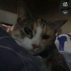 jugging, finessing, flexing