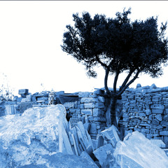 Eternal Carnal Fidelity