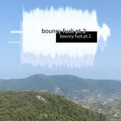 bouncy fuck pt.2