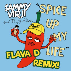 Spice Up My Life (Flava D Remix) (Radio Edit) [feat. Paige Eliza]