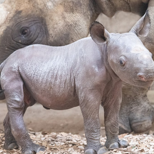 MOON_LITE By NORTHSIDE KASCET [SKRW] 6/22/24 (i was on drug i think because huhhhhhh???)