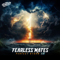 Perfect Storm (Fearless Mates Remix)
