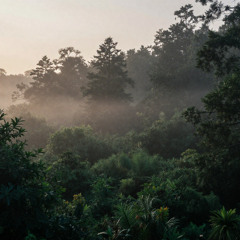 Type Beat Laylow x Yvnnis - Trèfle à 4 feuilles