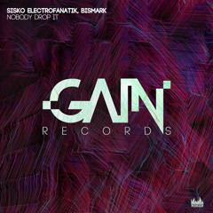 Bismark & Sisko Electrofanatik - Nobody Drops It (Radio Edit)