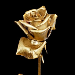 blues got me feeling good