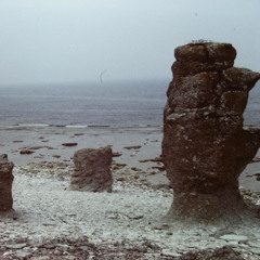 emellan - solo violin [2025]