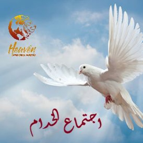 يوم الخدام - 5 مارس 2021 - المقطم - تسبيح وصلاة الاجتماع الثاني - خدمة السماء على الأرض