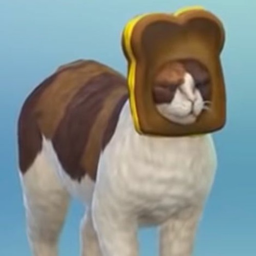 Stream Bread Hat Cat by Nick Roeslein Oleksiak Listen online for free