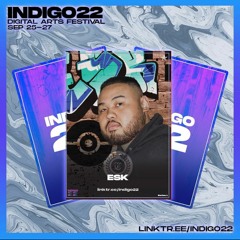 Indigo22 Digital Arts Festival - ESK