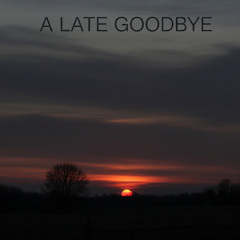 A Late Goodbye