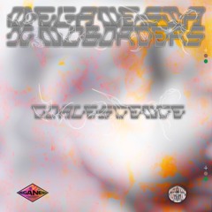 PREMIERE: Disgrays - Guessing [Meganesia x No Borders]