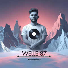 Welle 87