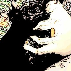 Sabrina & Moogly - Dat Kat (Original)