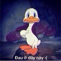 sự thật đã bỏ quên remix