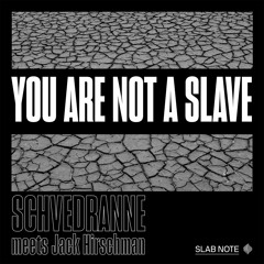 You Are Not A Slave - Schvédranne