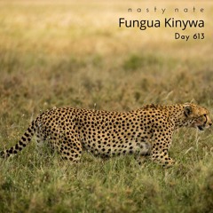 n a s t y  n a t e - Fungua Kinywa. Day 613 - DEEP + AFRO + PROGRESSIVE HOUSE