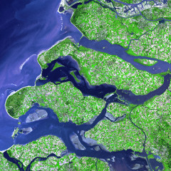 The Role of a Ditch in the Matrix