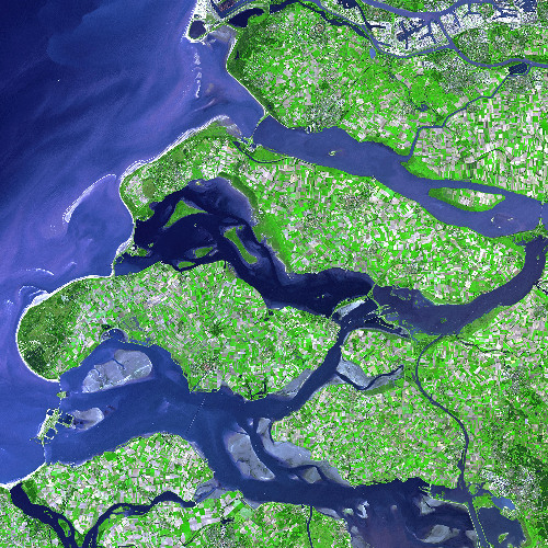 The Role of a Ditch in the Matrix