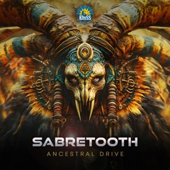 Drive Theory