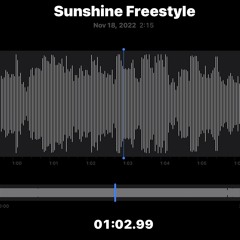 Sunshine Freestyle (prod. ThatKidGoran)