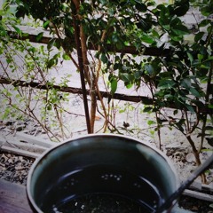 Jessie-Couch cover.mp3