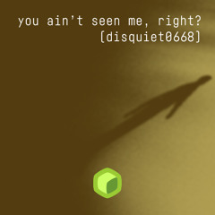 you ain't seen me, right? (disquiet0668)