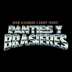 Rauw Alejandro & Daddy Yankee - Panties Y Brasieres (Acapella Studio) (Starter + Break + Intro)