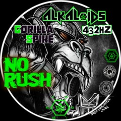 No Rush Ft. Gorilla Spike |  Alkaloids432hz