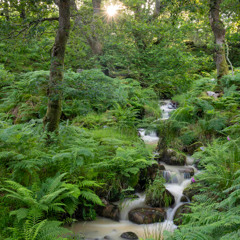 WALKING THE WIRE - Imagine Dragons - Beautiful Piano Instrumental Cover