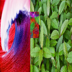 redBorneo