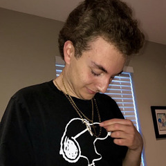 YSE PAWS- Countin Racks