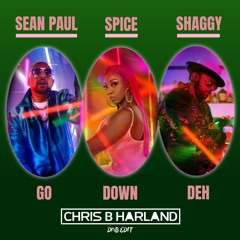 GO DOWN DEH (Chris B Harland DnB Edit) - Spice Ft. Sean Paul & Shaggy