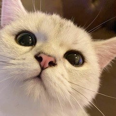 อย่าเกลียดกันก็พอ - ทาทา ยัง l cover by mukkychuwab