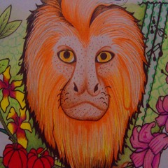 Cabruca - Daqui Do Morro