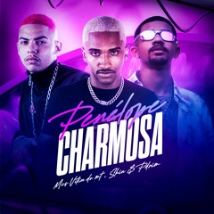 MEGA PENÉLOPE CHARMOSA - MC'S VITIN DO MT,SKIN & PDRIM (PROD.VITIN DO MT)