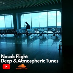 Nosak Flight #1