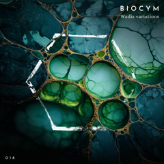 PREMIERE: Biocym - Wadis (Arto fractured dub) [Melifera Records]
