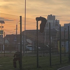 8obes, Snave — fly away