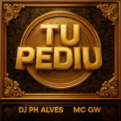 Tu Pediu