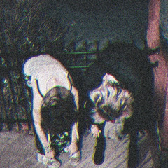 ₱₴Ɏ₵Ⱨł₵₥₳Ⱡ₩₳ⱤɆ.ɆӾɆ// XXCHAINVEIL X2X XXRAT.TUNNEL @SYNC HAUS 3/8/25